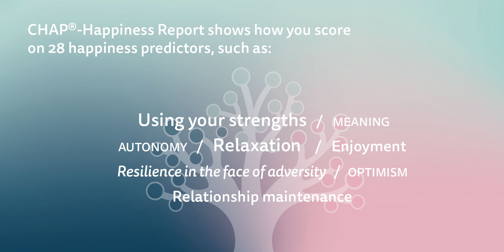 chap geluksrapport score